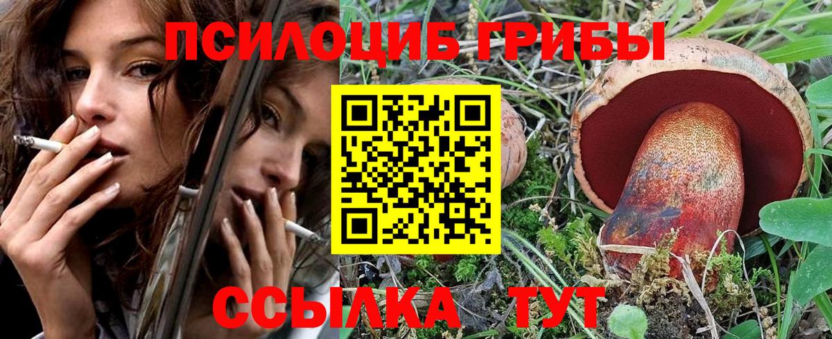 Псилоцибиновые грибы Psilocybine cubensis  Псилоцибиновые грибы Magic Shrooms  Вход с VPN  Владикавказ 